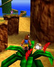 Banjo & Kazooie : Treasure Trove Cove, la baie du trsor