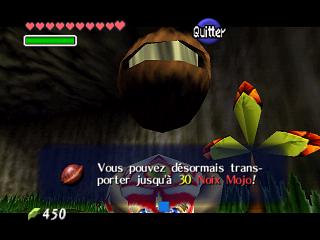 Zelda Ocarina Of Time Master Quest sur Game Cube : Link grandit